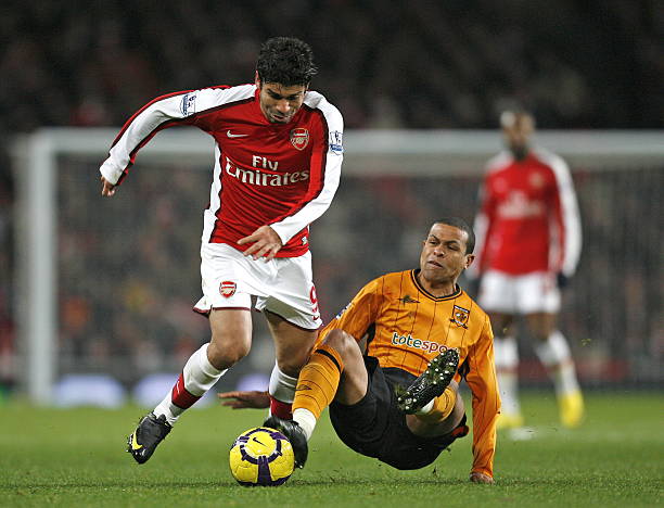 现全面开花 现全面开花