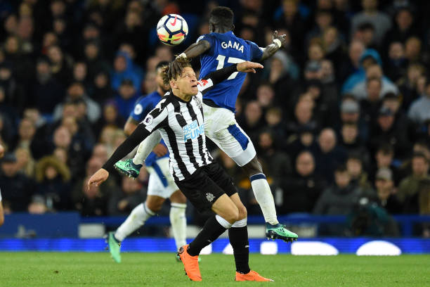 迷的期望 迷的期望